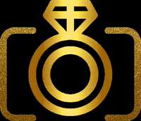 Wedding GIF by LifeBytes