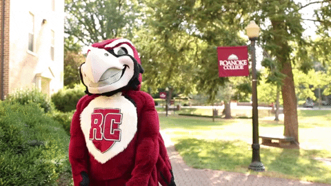 Hey You Point GIF by Roanoke College