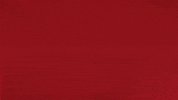 France Smiling GIF by Bundesliga