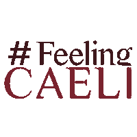 Happy Experience Sticker by Hotel Caeli & Caeli Winery