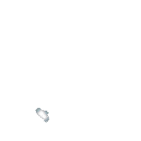 Bird Flying Sticker