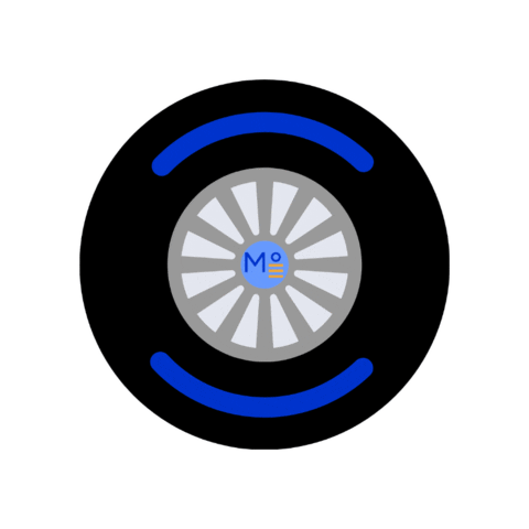 Racing F1 Sticker by Meridian°