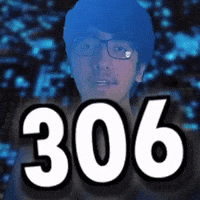 306