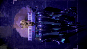 music video footage GIF by Taylor Swift