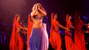 Hips Dont Lie GIF by Shakira