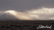 Dog Horse GIF by Magnolia Pictures