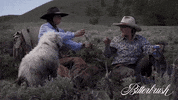 Dog Horse GIF by Magnolia Pictures