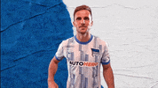 Berlin Sieg GIF by Hertha BSC
