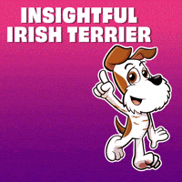 Dog Prepare GIF by VeeFriends