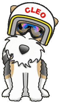 Wire Fox Terrier Sticker