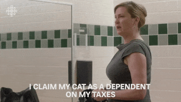 baroness von sketch cat GIF