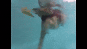 Golden Retriever Swimming GIF