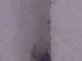 like a virgin madonna GIF