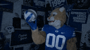 Cosmo Go Cougs GIF by BYU Cougars