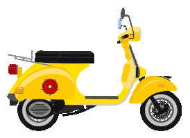 Scooter Insurance Sticker by Lippische