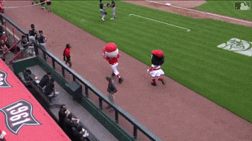 Sport Lol GIF by MLB