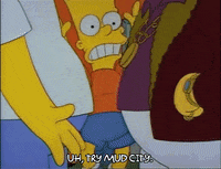 Season 1 Episode 10 GIF by The Simpsons
