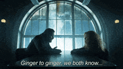 GIF by Gotham