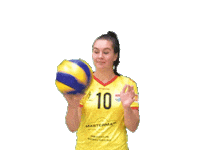 Eredivisie Volleybal Sticker by Draisma Dynamo