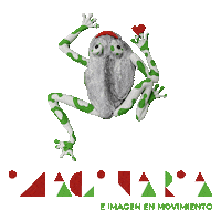 Imaginariabinefar Sticker by Festival Imaginaria