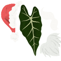 Christmas Santa Sticker