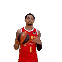 Liga Endesa Sport Sticker by ACB