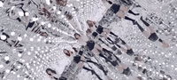 k-pop GIF