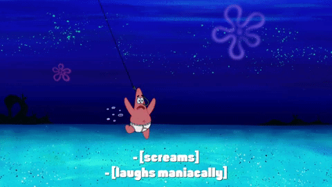 season 9 GIF by SpongeBob SquarePants