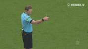 werder bremen bundesliga GIF