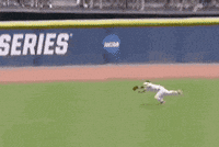 Catch Softball GIF by JMUDukes