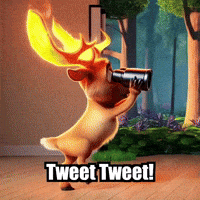 Birds Wildlife GIF by elkijahspark