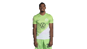 Germany Thumbs Up Sticker by VfL Wolfsburg