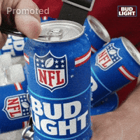 Beer GIF by Bud Light