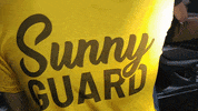 sunnytech sunny guard sunnytech sunnyguard GIF