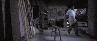 kung fu GIF