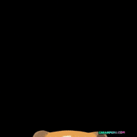 Crearperucom feliz cuy crearperu cuycp GIF