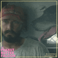 Staring In Love GIF by Signature Entertainment