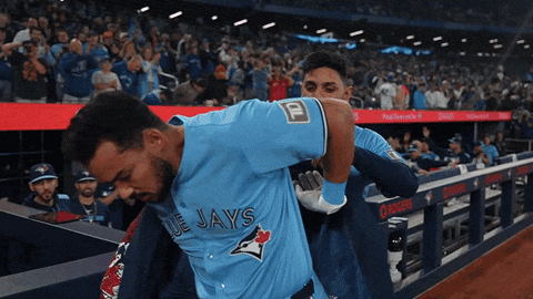 Blue Jays Celebration GIF by Toronto Blue Jays