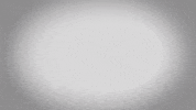 Hendrick Motorsports Byron GIF by NASCAR
