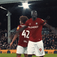 Get In Come On GIF by Bristol City FC