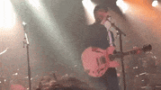 vampire weekend bambina GIF