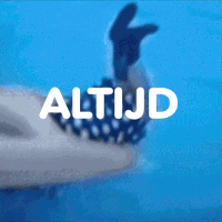 GIF by VakantieVeilingen
