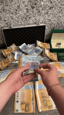 Money Cash GIF by systaime