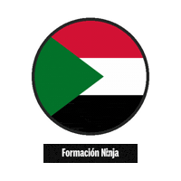 Sudan Flag Sticker by Formación Ninja