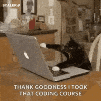 Work Coding GIF by Scaler