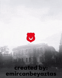 Beşiktaş GIF