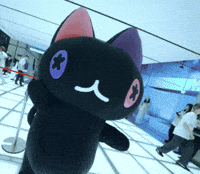 Cat Hello GIF