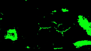 color flash GIF