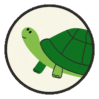 Pet Turtle Sticker by Real Reason for Pets
