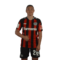 I Like Yes Sticker by Bayer 04 Leverkusen